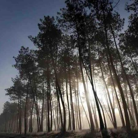 Chez Floflo Villa Rion-Des-Landes Eksteriør bilde