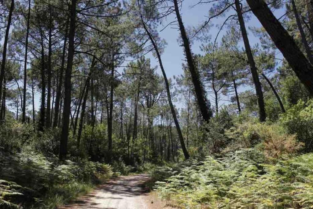 Chez Floflo Villa Rion-Des-Landes Eksteriør bilde